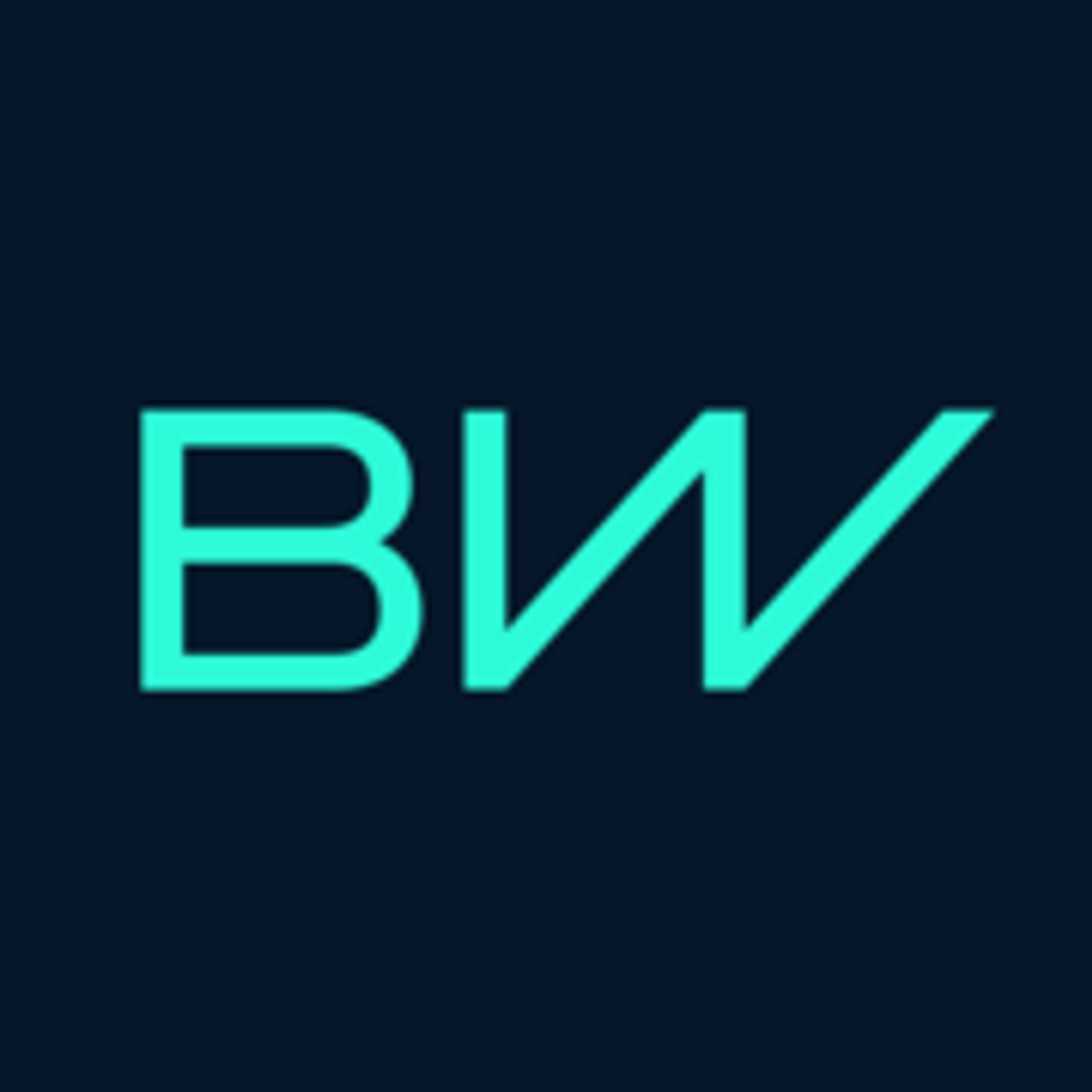 Borgwarner BIQS Consulting